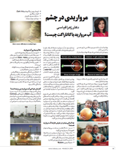Dr. Zahra Ghiasi Article in Farsi